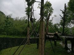 -都江堰中华大熊猫苑