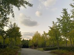 -黄兴公园