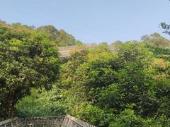 -福道