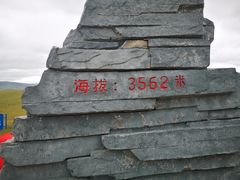 -郭莽湿地