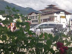 -鲁朗纳麦石锅鸡庄园