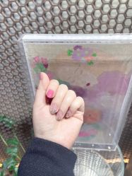 -LILY NAILS美甲美睫