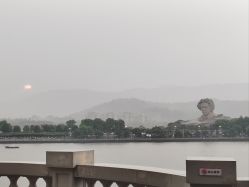 -Zoolung Zoolung动物主题公园(海信广场店)