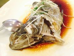 -维也纳国际酒店·深圳北站店