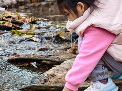 -白水寺森林公园
