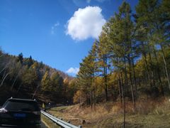 -御道口草原森林风景区