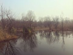 android_upload_pic-西湖风景区-江洋畈生态公园