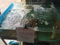 -天津乾毓德饭庄·清真传统炒菜·海鲜烧烤(咸阳路店)