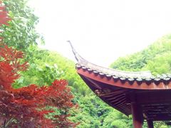 -长谷洞天