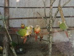 -昆明动物园