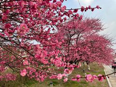 -祥源·阜阳生态乐园