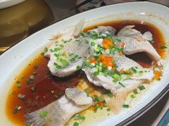 -新白鹿餐厅(金鹰新街口店)