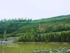 -白鹿原影视城