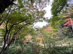-三千院