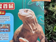 -广州长隆野生动物世界