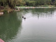 -苏州金鸡湖大酒店