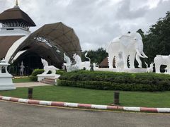 -清迈夜间动物园