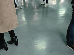 -黄浦江游览快线(金陵东路码头)