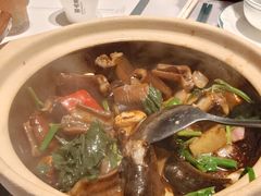 -新兴·金羊座·粤菜点心(乐峰店)