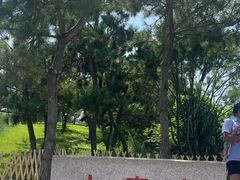 -小麦岛公园