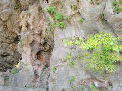 -幕燕滨江·长江观音景区