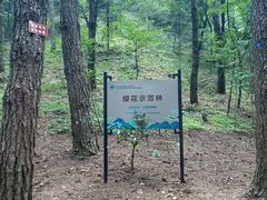 -四明山国家森林公园