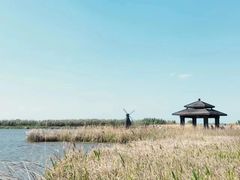 -宁波杭州湾国家湿地公园
