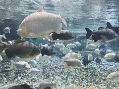 -成都浩海立方海洋公园