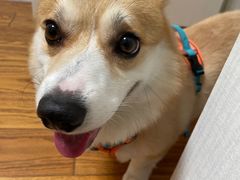 -派特宠物医院(圆融广场店)