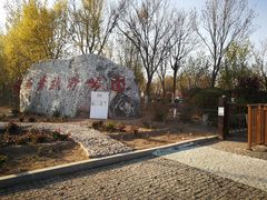 -西青郊野公园
