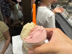 -Dip in Gelato(富民路店)