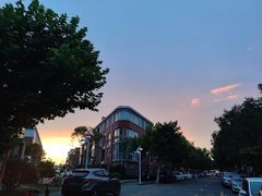 -春花秋色城市公园