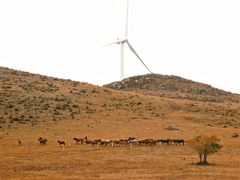 -塞罕坝国家级自然保护区