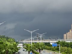 -宝安西湾红树林湿地公园