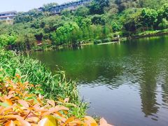 -重庆彩云湖湿地公园