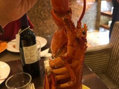 -马哥孛罗咖啡厅·Cafe Marco (厦门马哥孛罗东方大酒店)