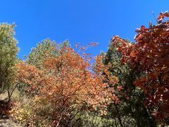 -北京十三陵国家森林公园蟒山景区