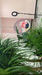 -久匠·野生眉半永久纹眉