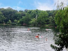 -紫霞湖公园