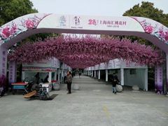 -南汇桃花村