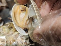 -富临港·蒸汽海鲜·手抓海鲜·炒菜(栈桥店)