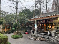 -青城甲(青城山店)