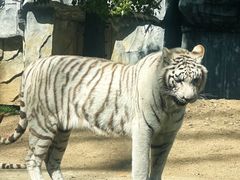 -常州淹城野生动物世界