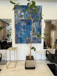 -Hair  Gallery