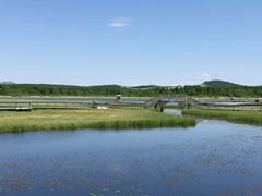 -塞罕坝国家级自然保护区