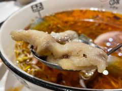 水煮鱼-宏宴·新京菜(望京店)