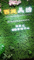 -西施无菌半永久纹绣眉眼影唇轻增发纹发际线