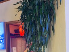 -鸽子窝(青塔店)