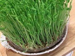 -好彩猪肚鸡(正弘城店)