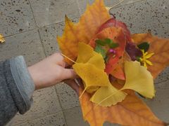 -河南省黄河迎宾馆